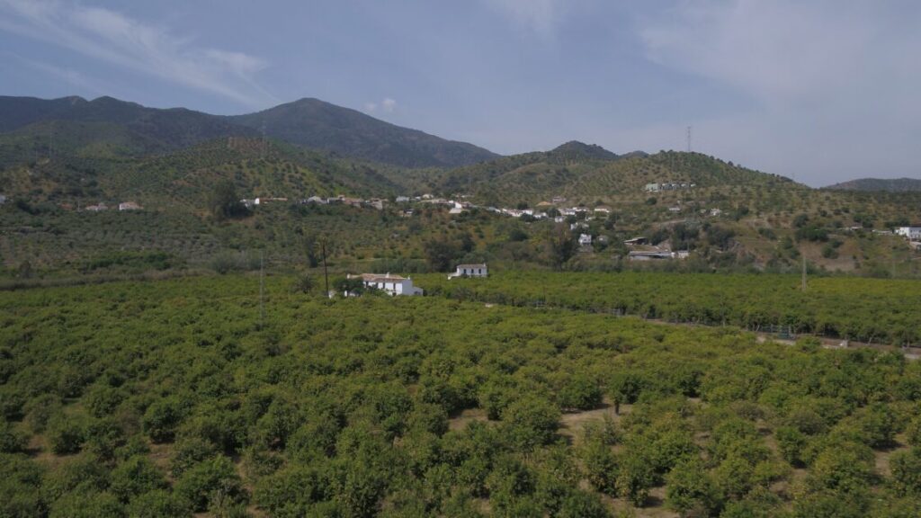 La Diputación de Málaga participa en un proyecto europeo para combatir la sequía y prevenir las inundaciones