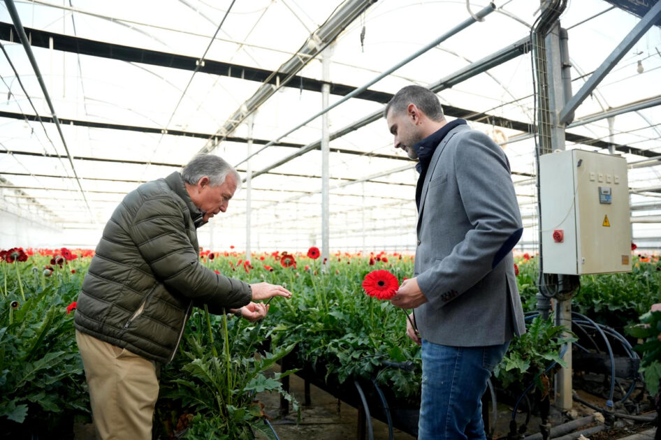 Fernández-Pacheco pide a Planas que “pelee en Bruselas” por el reconocimiento de la flor cortada como productor de frutas y hortalizas