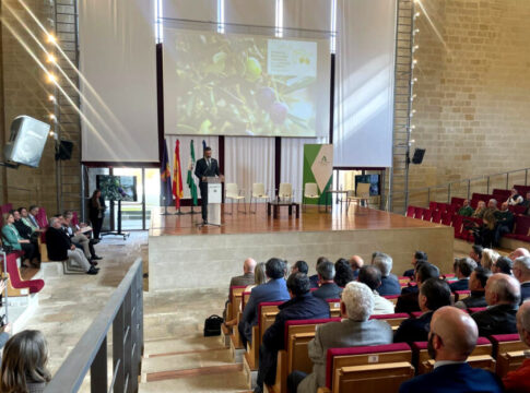La I Estrategia Andaluza del Olivar apuesta por mejorar la competitividad y la rentabilidad además de consolidar la sostenibilidad del sector