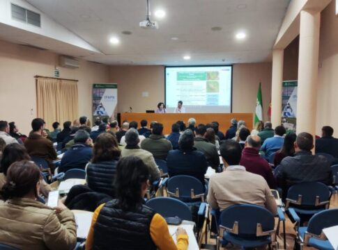 La Junta informa al sector andaluz sobre estrategias de control de plagas en explotaciones de cítricos