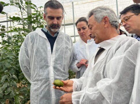 Andalucía exporta “innovación, calidad y un sabor inigualable” con los tomates que salen de Almería