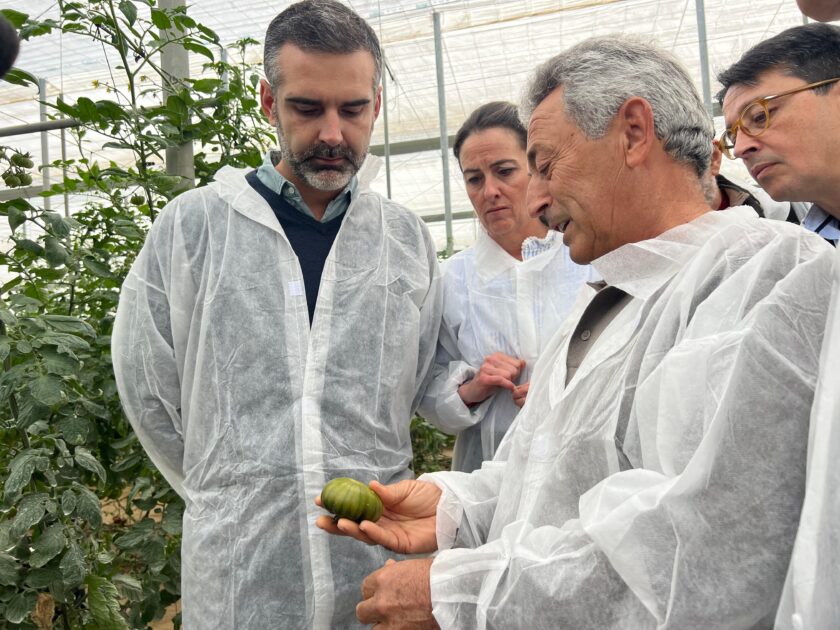 Andalucía exporta “innovación, calidad y un sabor inigualable” con los tomates que salen de Almería