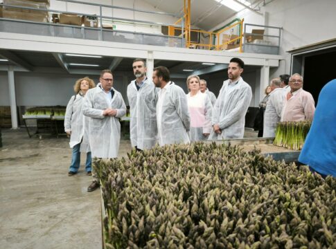 La Junta convocará nuevas ayudas para la modernización del sector agroalimentario con un montante de 88 millones de euros