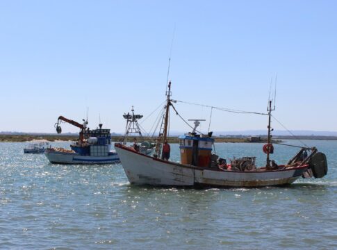 La Junta compensará con 6,37 millones de euros las paradas temporales del sector pesquero en 2025