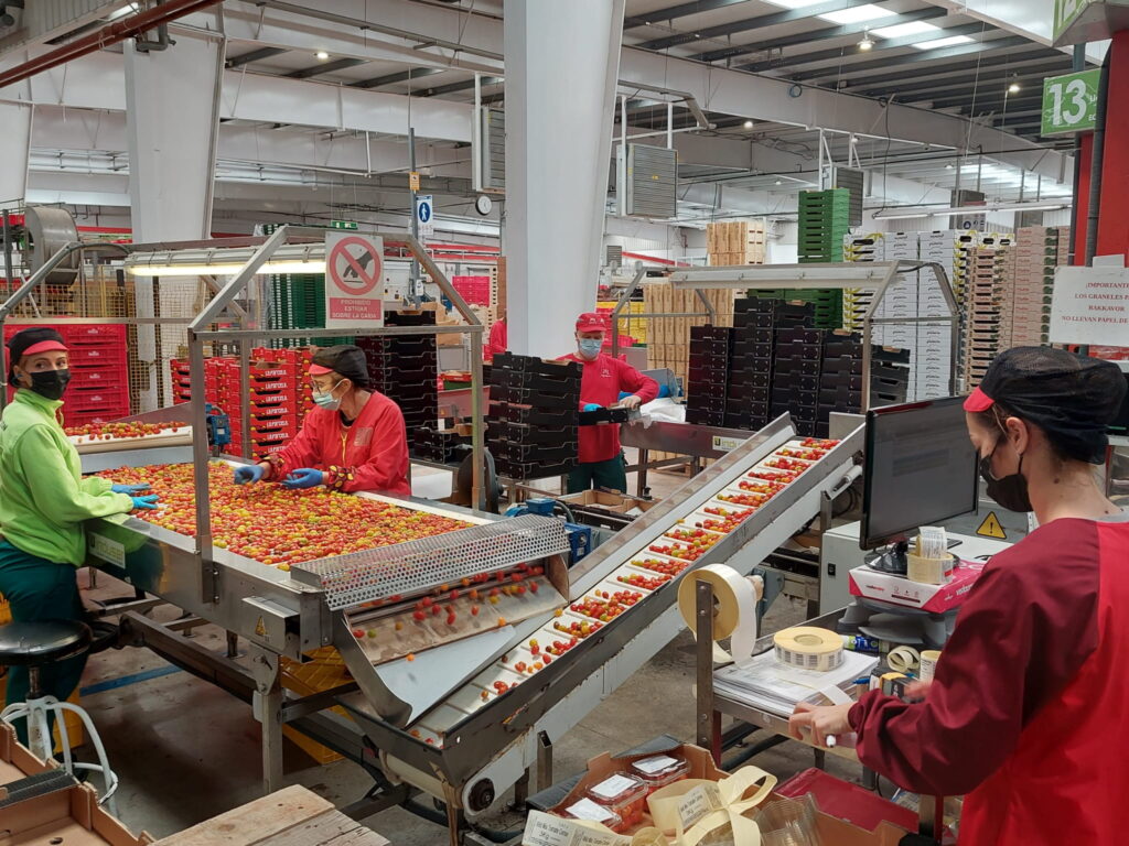 Empleo respalda a la Economía Social con cuatro líneas de ayudas que movilizan 3,9 millones