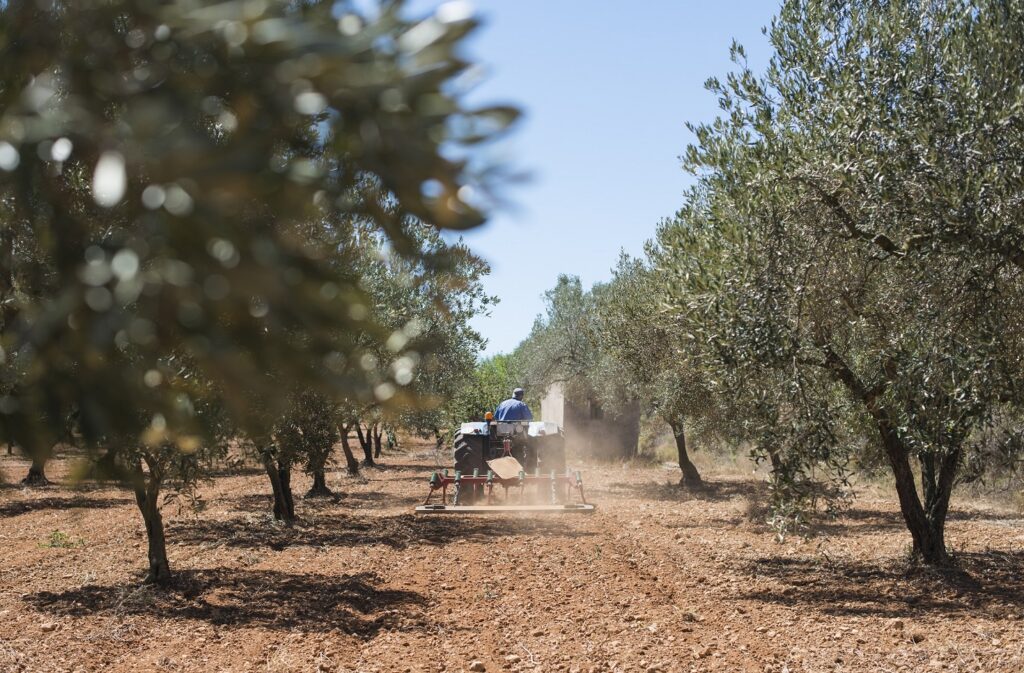 Andalucía vota a favor de las modificaciones del PEPAC 2025 para que agricultores y ganaderos cobren las ayudas