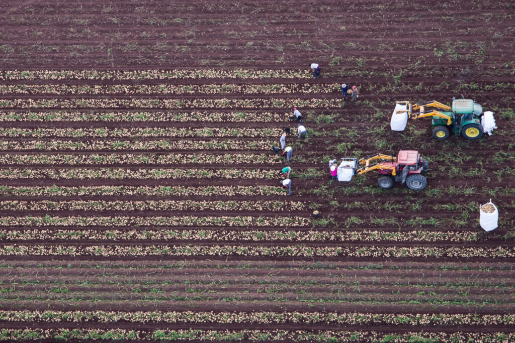 La Junta recibe más de 209.500 Solicitudes Únicas de ayudas de la Política Agraria Común para 2025