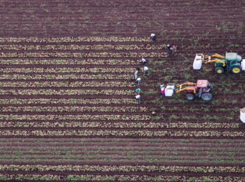 La Junta recibe más de 209.500 Solicitudes Únicas de ayudas de la Política Agraria Común para 2025