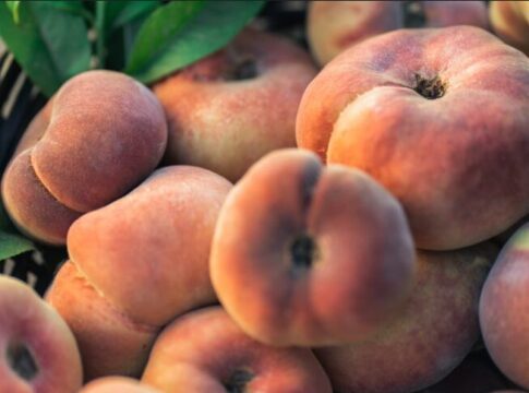 Lidl refuerza su liderazgo como principal cliente de la huerta española: prevé comprar 89.500 toneladas de fruta de verano en Andalucía