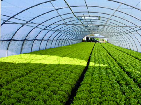 Andalucía TRADE abre nuevas oportunidades en Chile para la industria auxiliar agrícola