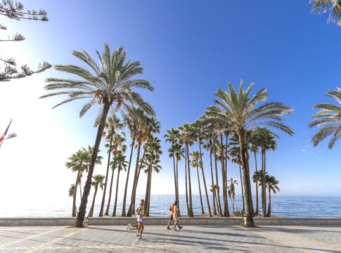 Marbella registra un incremento del 17% de visitantes extranjeros en julio y lidera los indicadores de rentabilidad hotelera en España