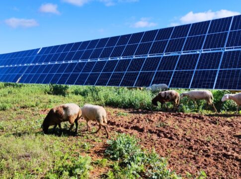 EN TAN SOLO CUATRO AÑOS ENDESA HA AUMENTADO UN 137% SU PRODUCIÓN DE ENERGÍA SOLAR EN ANDALUCÍA