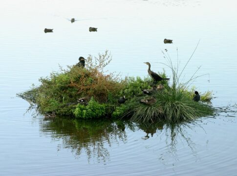 Fundación Moeve impulsa una alianza local para proteger la Laguna Primera de Palos y favorecer la agricultura de la provincia
