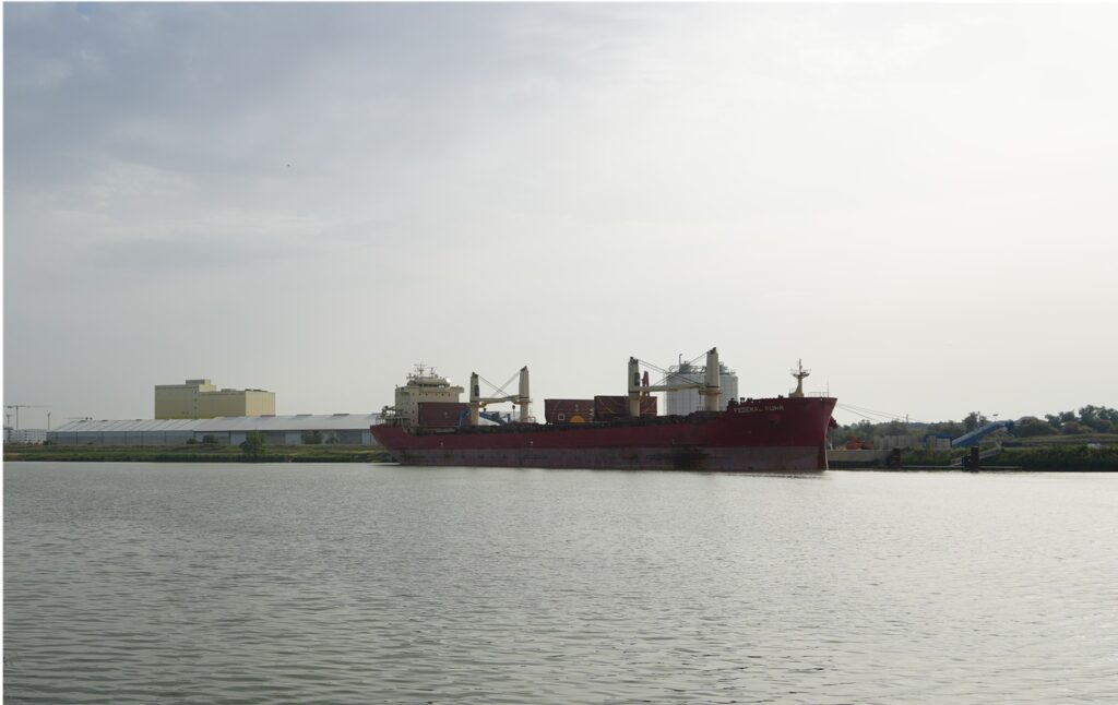 El Puerto de Sevilla recibe uno de los buques de mayor eslora de su historia