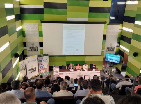 El IFAPA presenta en Mengíbar (Jaén) tres nuevas variedades de olivo resistentes a la verticilosis