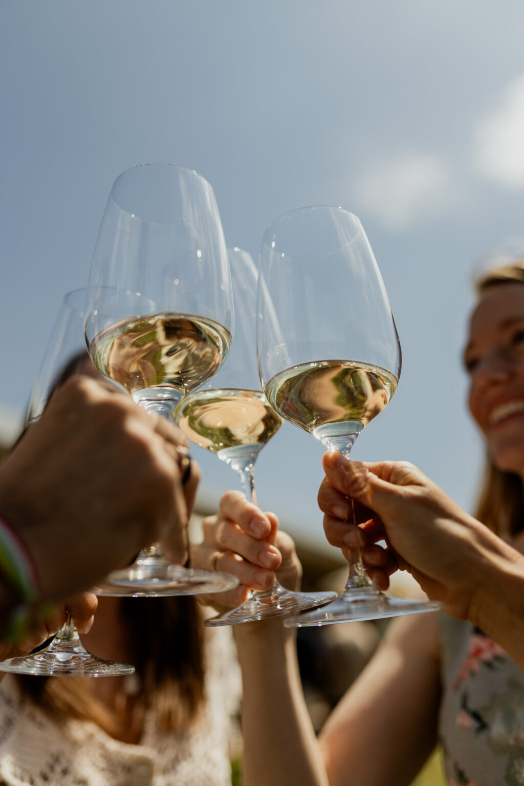 BERONIA CELEBRA LA FERIA DE JEREZ ENTRE VIÑEDOS