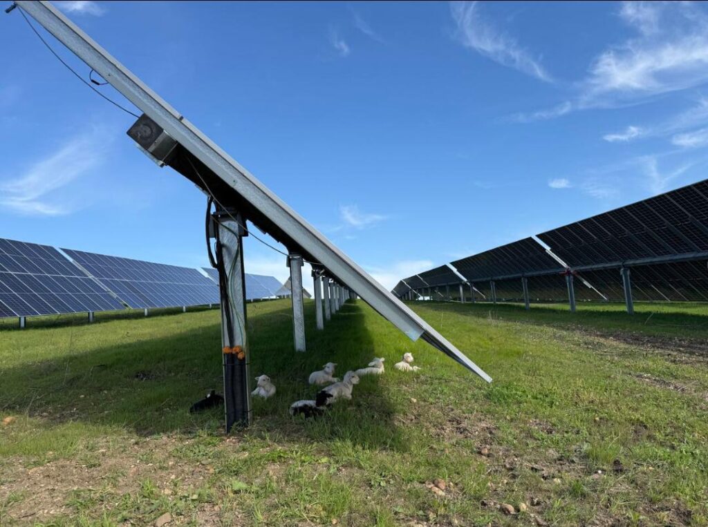 En los cuatro primeros meses del año la producción renovable de Endesa en Andalucía se incrementó en un 44%
