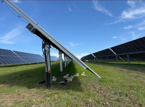En los cuatro primeros meses del año la producción renovable de Endesa en Andalucía se incrementó en un 44%