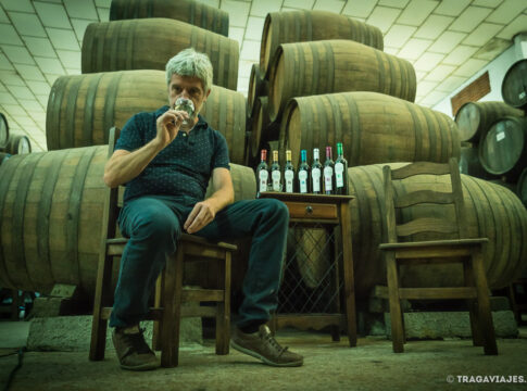 Francisco Robles Rubio (Gerente de Bodegas Robles): “Convertimos la sostenibilidad en el eje que define nuestra identidad”