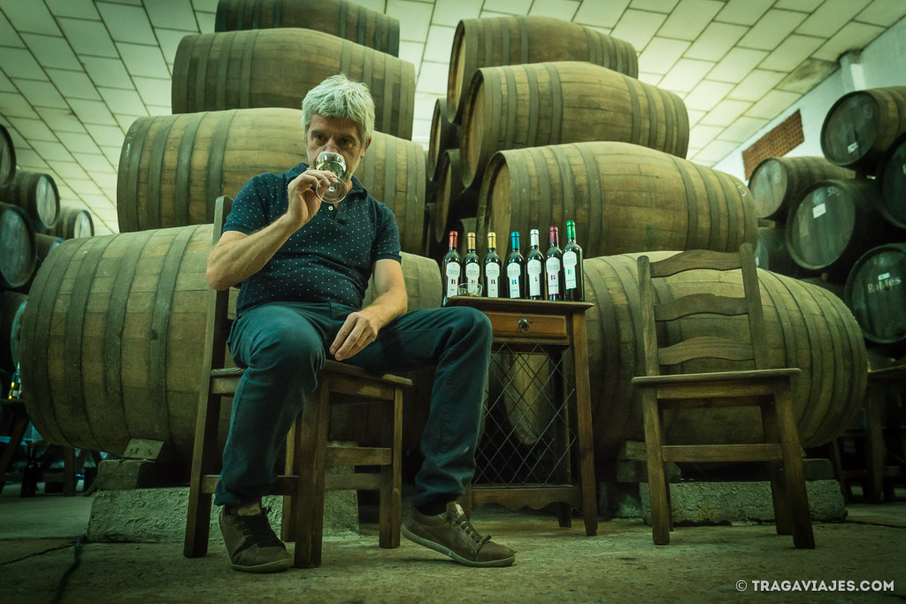Francisco Robles Rubio (Gerente de Bodegas Robles): “Convertimos la sostenibilidad en el eje que define nuestra identidad”