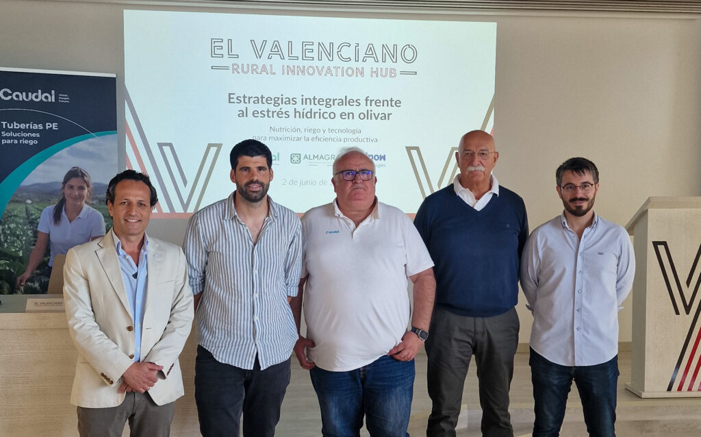 Claves para afrontar el estrés hídrico del olivar desde la innovación agronómica y tecnológica