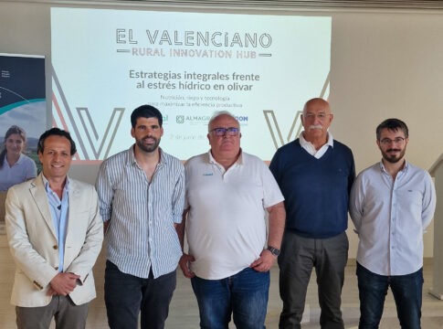Claves para afrontar el estrés hídrico del olivar desde la innovación agronómica y tecnológica