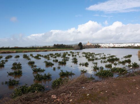 Las ayudas de la Junta para el sector primario afectado por las borrascas están exentas de impuestos