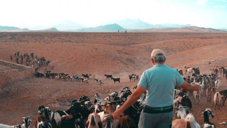 Canarias regula por primera vez el transporte terrestre en La Graciosa para preservar sus valores medioambientales