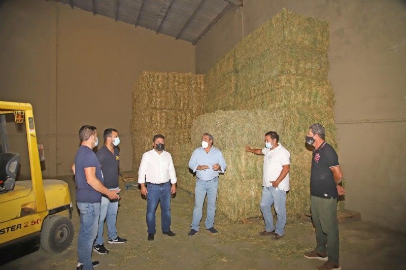 Reunion del Cabildo con representantes de los ganaderos