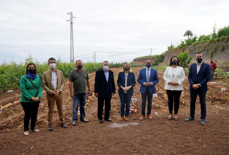 Fedola celebra ‘Papatour 2021’ abriendo nuevas puertas a la producción de papas en el mercado canario