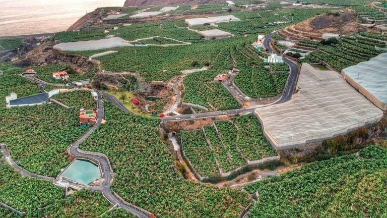 Europa mantendrá la ficha del Posei hasta 2027
